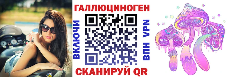 купить наркотик  Вилюйск  Галлюциногенные грибы Cubensis 